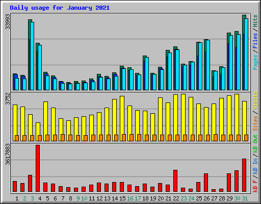 Daily usage for January 2021