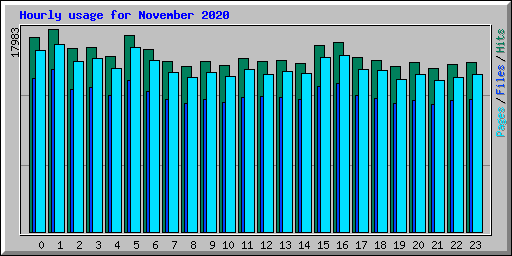 Hourly usage for November 2020