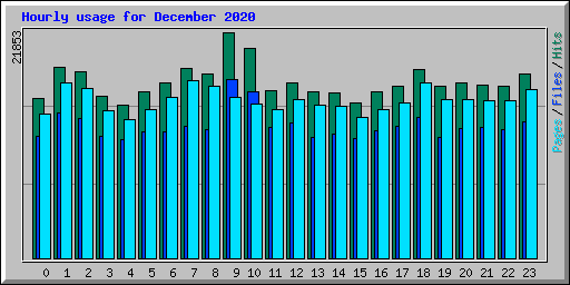 Hourly usage for December 2020