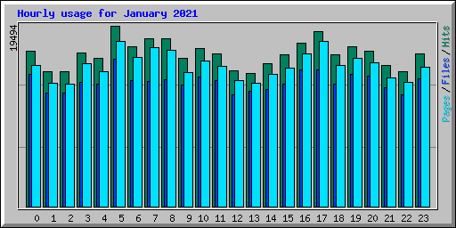 Hourly usage for January 2021