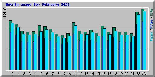 Hourly usage for February 2021
