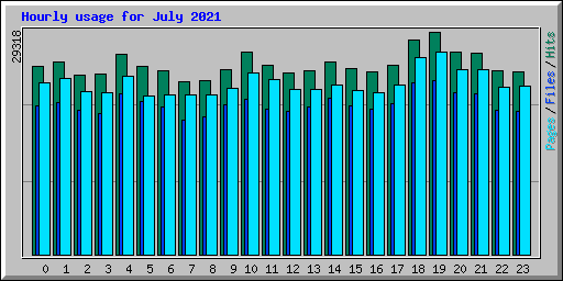 Hourly usage for July 2021