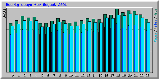 Hourly usage for August 2021