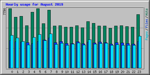 Hourly usage for August 2019